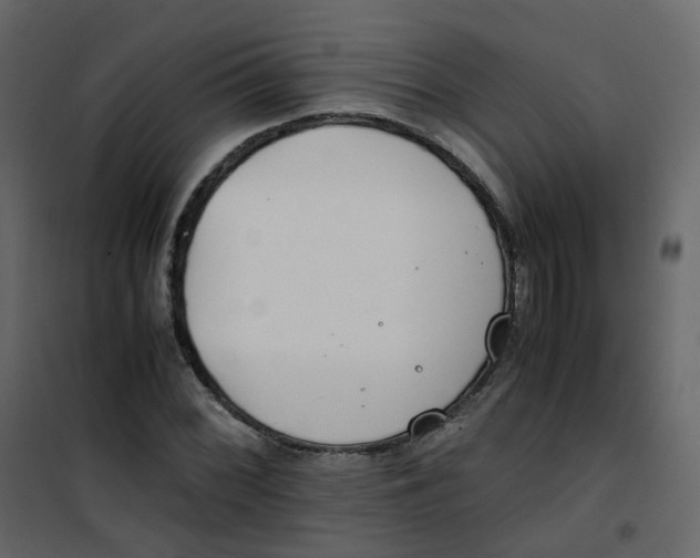 X0000101101068200807171906