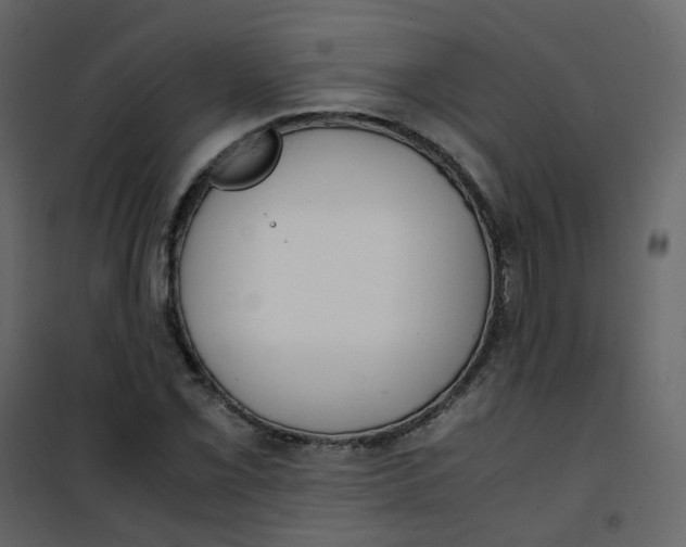 X0000101101069200807171906