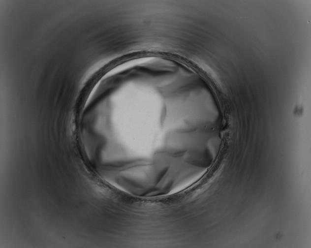 X0000101101070200807171906