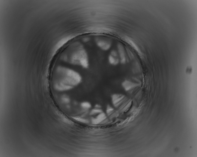 X0000101101071200807171906