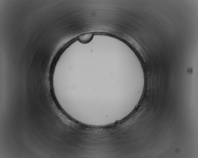 X0000101101072200807171906