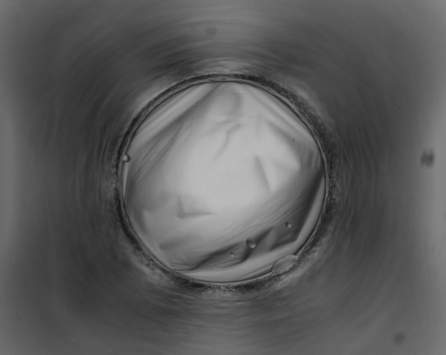 X0000101101073200807171906