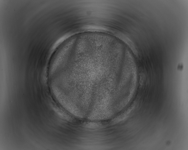 X0000101101074200807171906