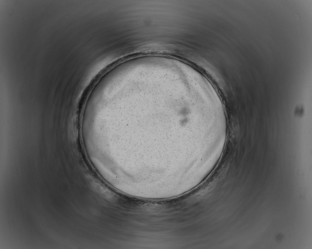 X0000101101075200807171906