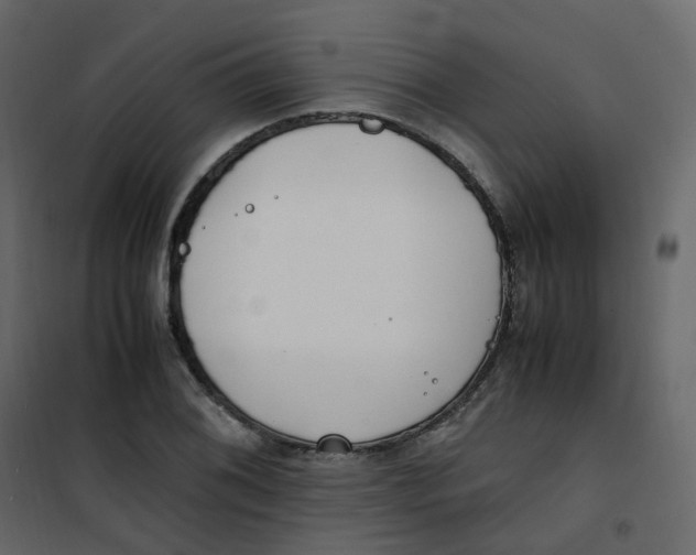 X0000101101076200807171906