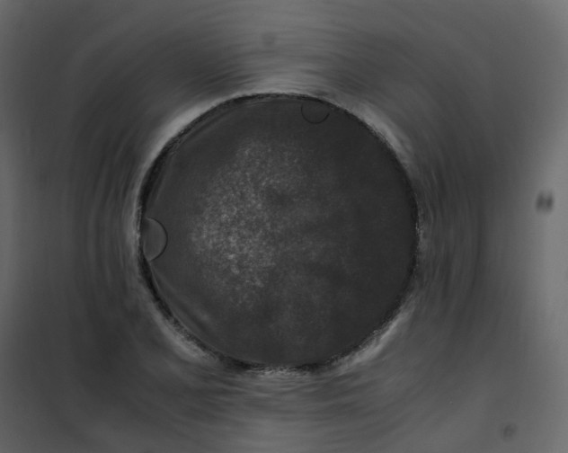 X0000101101077200807171906