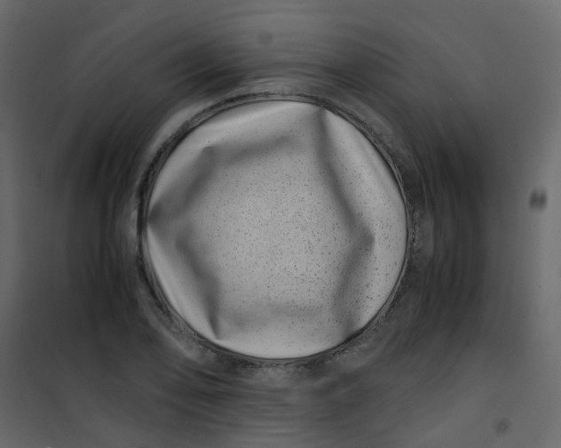 X0000101101078200807171906