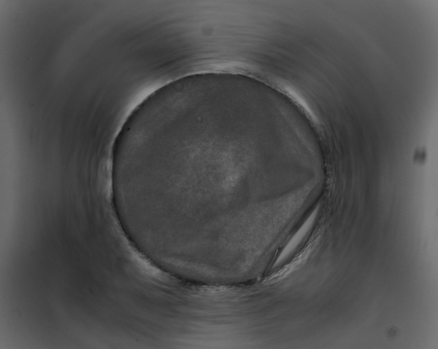 X0000101101079200807171906