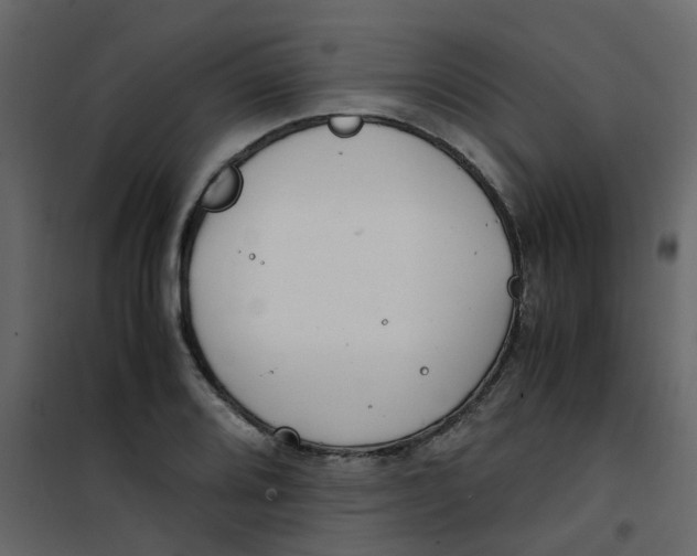 X0000101101080200807171906