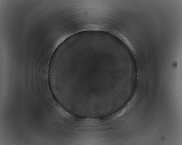 X0000101101081200807171906