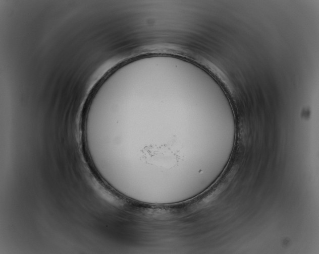 X0000101101082200807171906