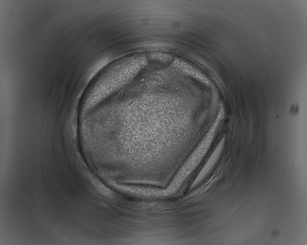 X0000101101083200807171906