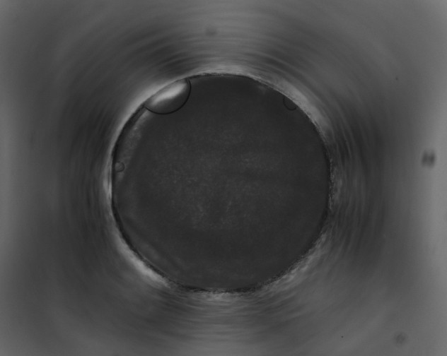 X0000101101084200807171906