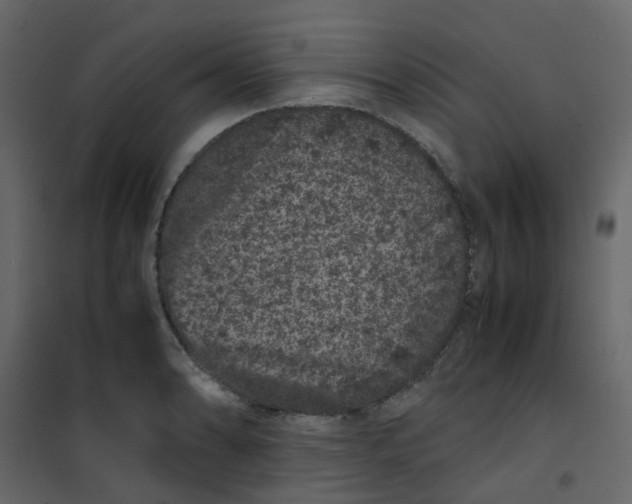 X0000101101086200807171906