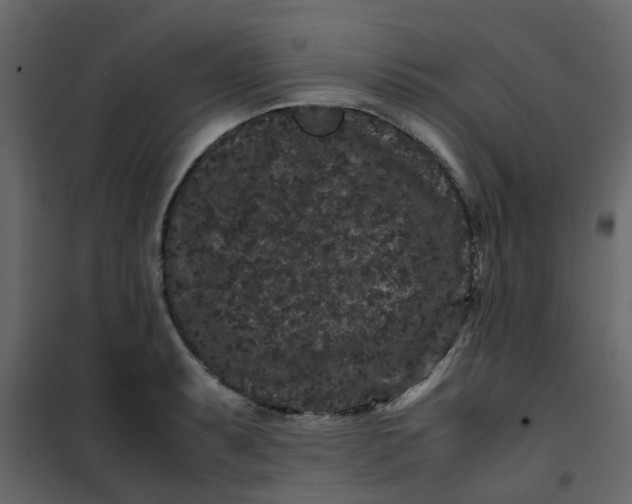 X0000101101087200807171906