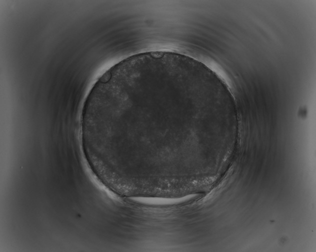 X0000101101088200807171906