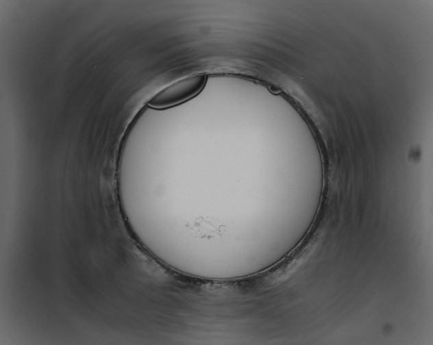 X0000101101089200807171906