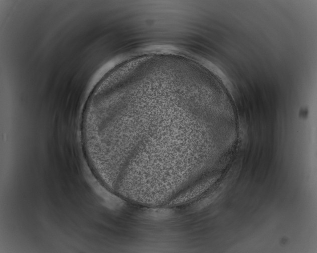 X0000101101090200807171906