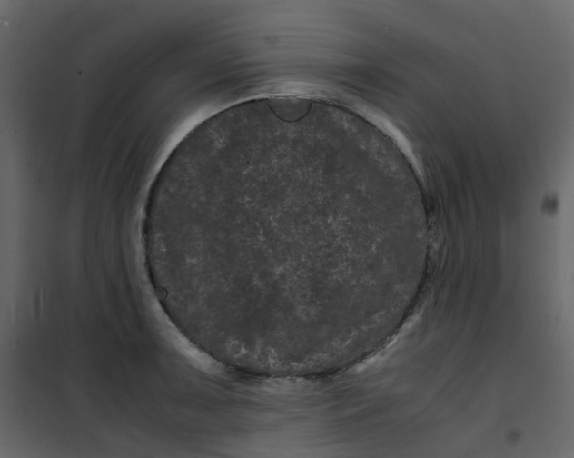 X0000101101091200807171906