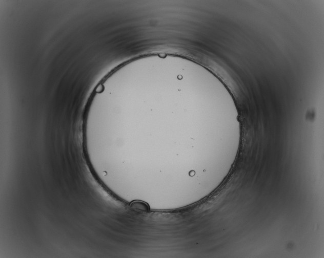 X0000101101092200807171906