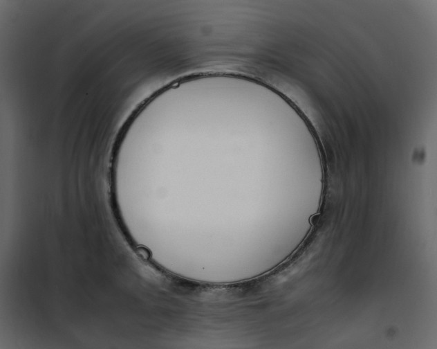 X0000101101093200807171906