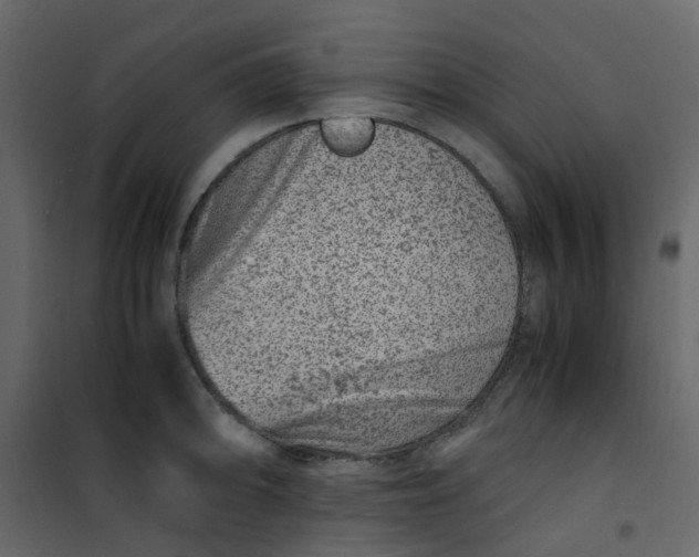 X0000101101094200807171906