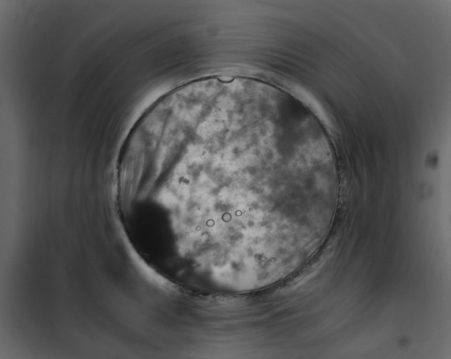 X0000101101095200807171906