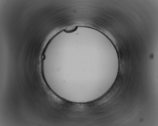 X0000101101096200807171906