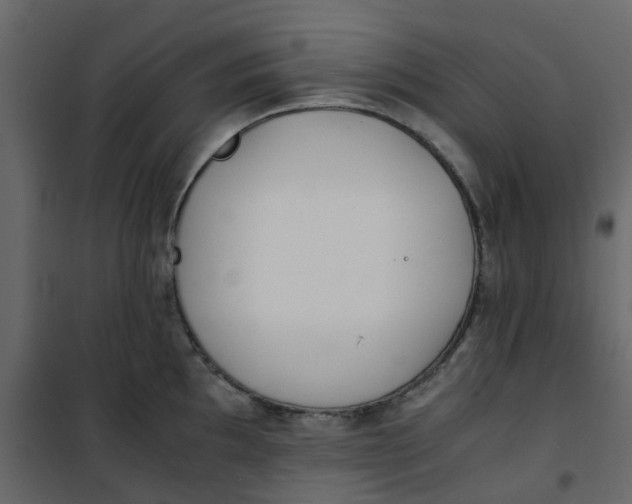 X0000101101097200807171906