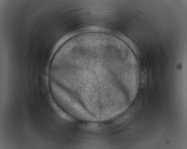 X0000101101098200807171906