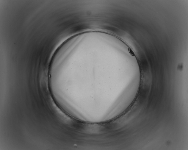 X0000101101100200807171906