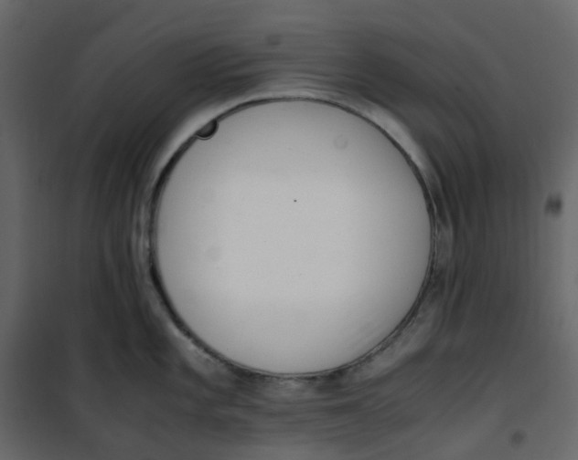 X0000101101101200807171906