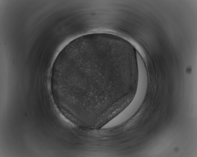 X0000101101102200807171906