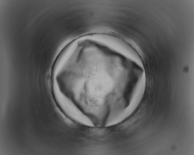 X0000101101103200807171906