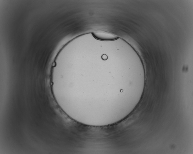 X0000101101104200807171906