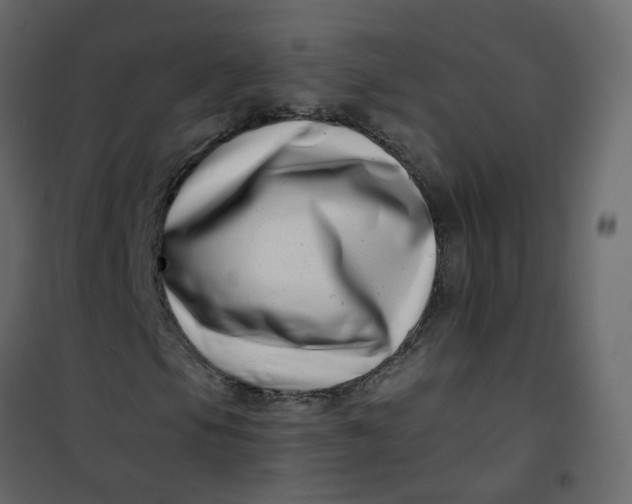 X0000101101105200807171905