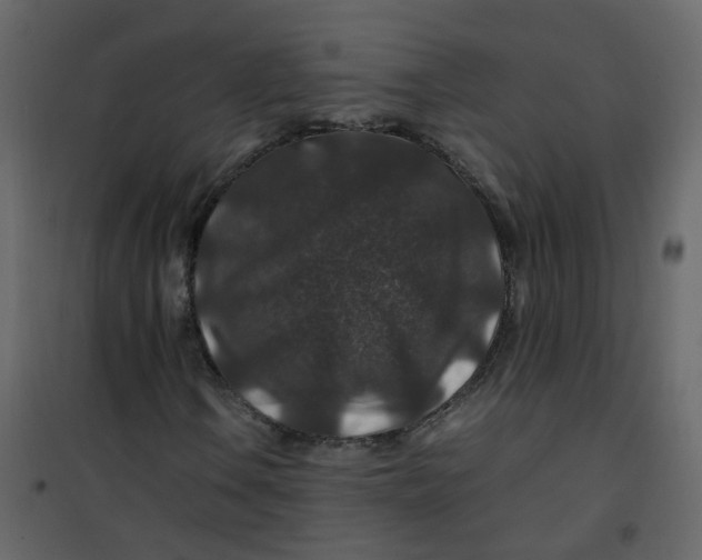 X0000101101106200807171905