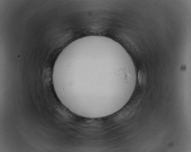 X0000101101107200807171905