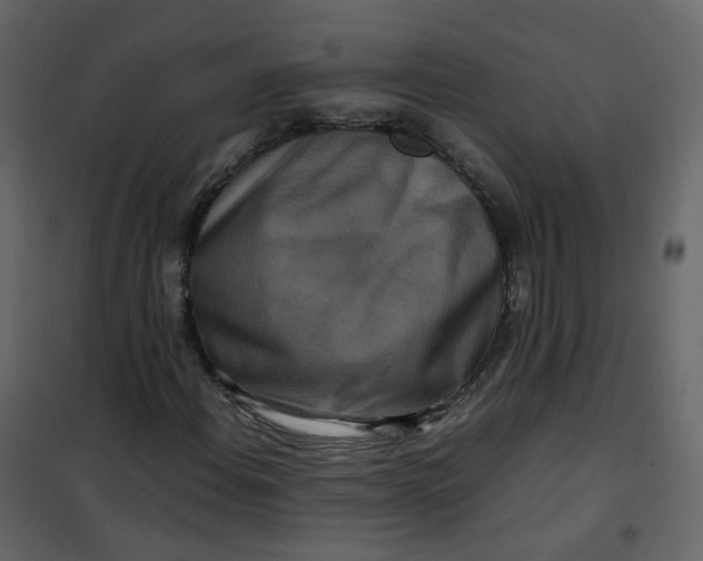 X0000101101108200807171905