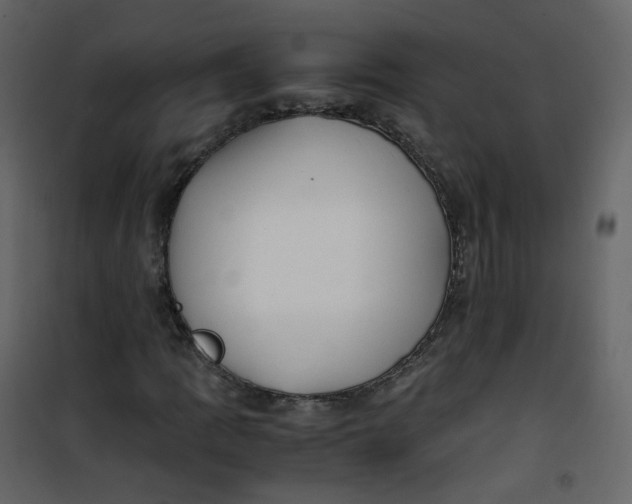 X0000101101109200807171905