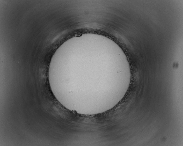 X0000101101110200807171905