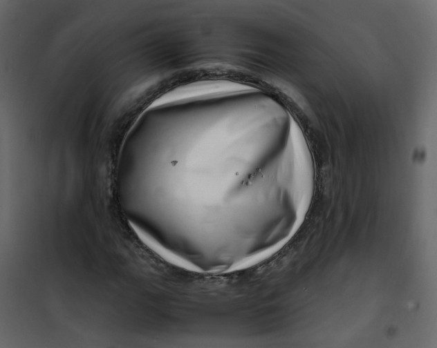 X0000101101111200807171905