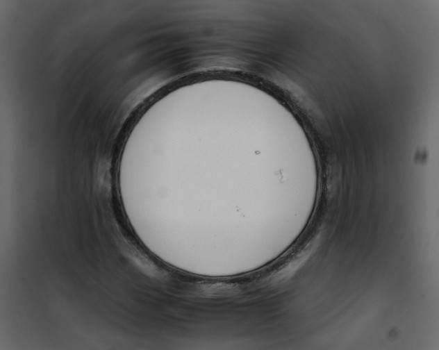 X0000101101113200807171905