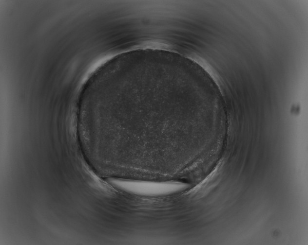 X0000101101115200807171905