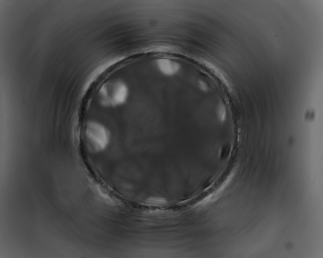 X0000101101117200807171905