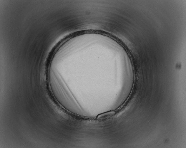 X0000101101118200807171905