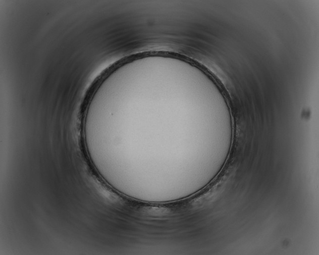 X0000101101119200807171905