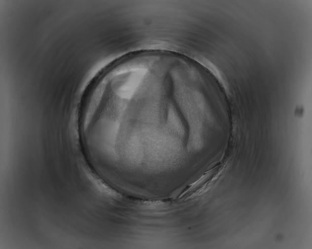 X0000101101120200807171905