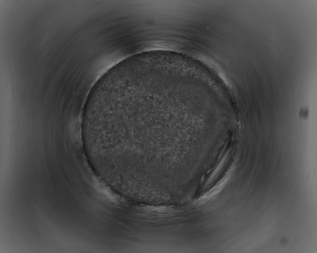 X0000101101121200807171905