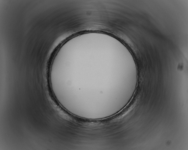 X0000101101122200807171905